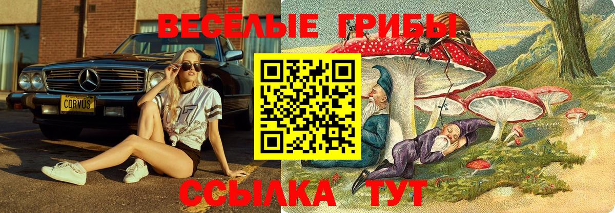 Псилоцибиновые грибы мицелий Чебаркуль